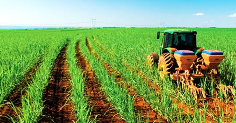 Produção agrícola em 2020 bate novo recorde e atinge R$ 470,5 bilhões