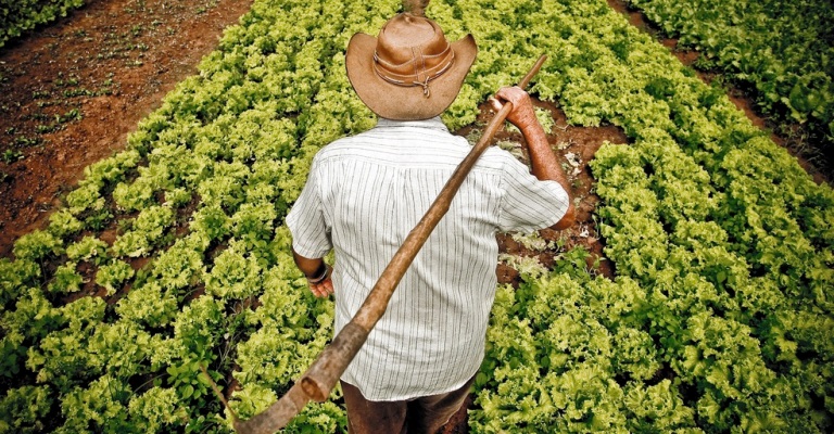 Governo anuncia R$ 31 bi para agricultura familiar