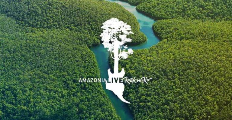 Amazônia terá 30 mil hectares recuperados até 2023