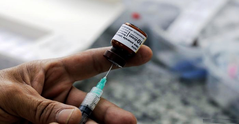 Governo recomenda vacina de febre amarela para todo o país