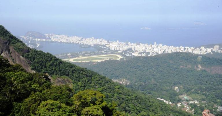 Brasil pode ser líder em desenvolvimento sustentável