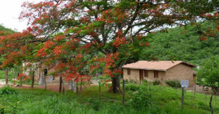 Governo assina termo que garante propriedade de terras a quilombolas