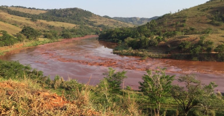 “Fauna está contaminada pela lama da Samarco”