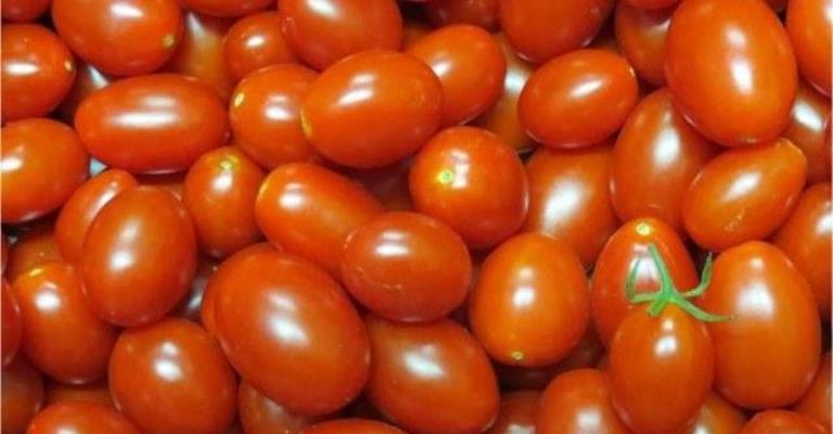 Cinco propriedades do tomate boas para o organismo