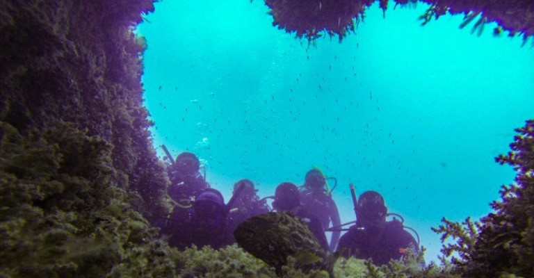 Abrolhos passa a oferecer trilha subaquática noturna
