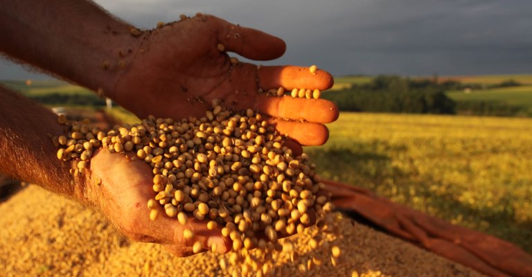 Safra de grãos de 2019 deve ser 3,1% maior que 2018