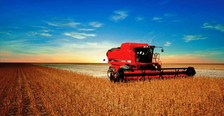 Brasil aumenta produtividade de grãos