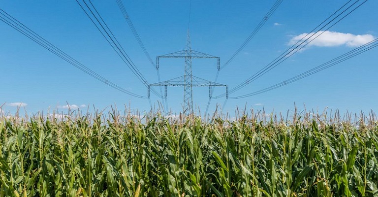Falta de energia elétrica pode acabar através do uso de bioprodutos
