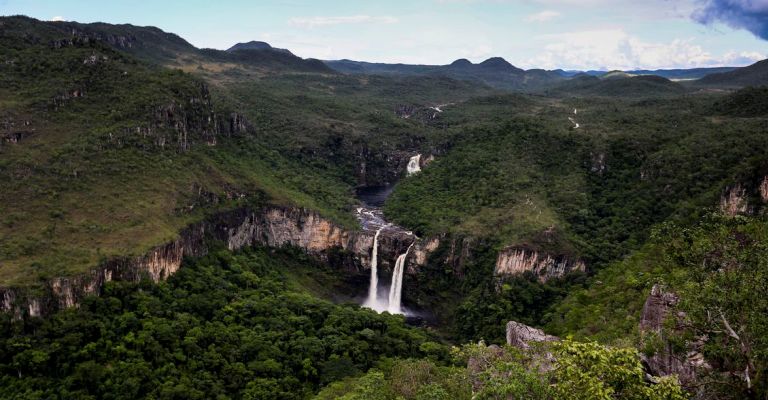 Parques brasileiros podem gerar aproximadamente 1 milhão de empregos no país