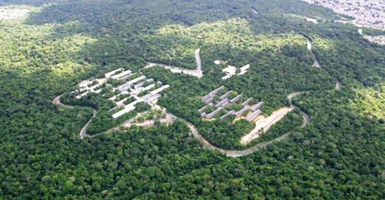 Capes deve liberar R$ 7 milhões para pesquisas na Amazônia Legal