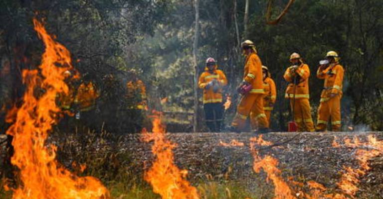 Fogo na Austrália é “catástrofe ecológica”, diz cientista