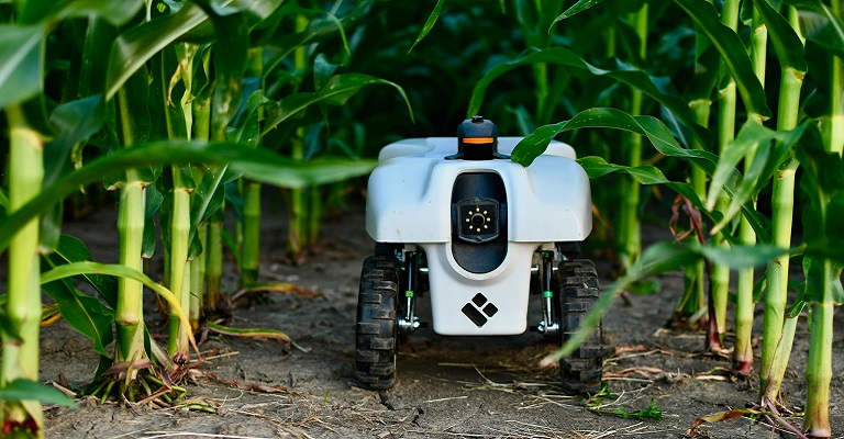 Estes robôs ajudam os agricultores a aumentar a produção agrícola