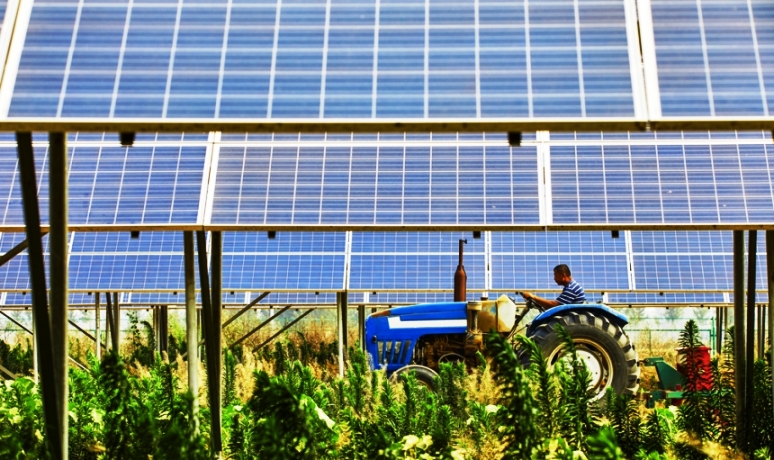 Como o agronegócio se beneficia com a energia solar