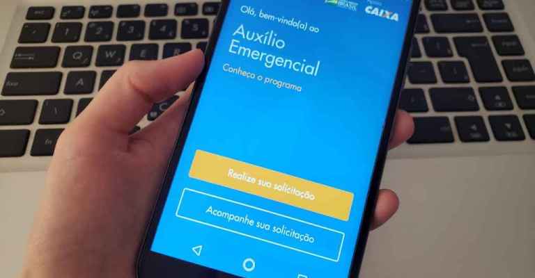 Auxílio emergencial chega a 29,4 milhões de domicílios, diz IBGE