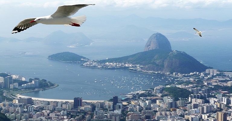 A natureza como estratégia para restaurar a baía mais simbólica do Brasil