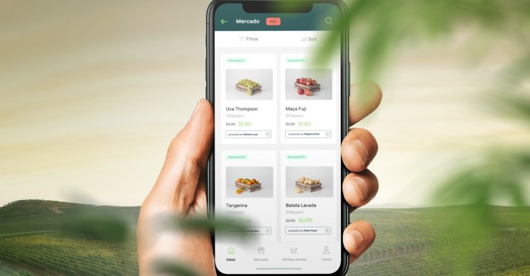 Startup lança solução para integrar a cadeia de frutas, legumes e verduras