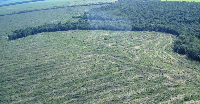 Amazônia Legal tem o maior desmatamento em 14 anos